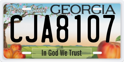 GA license plate CJA8107