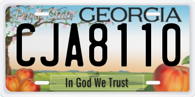 GA license plate CJA8110