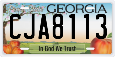 GA license plate CJA8113