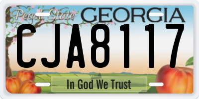 GA license plate CJA8117