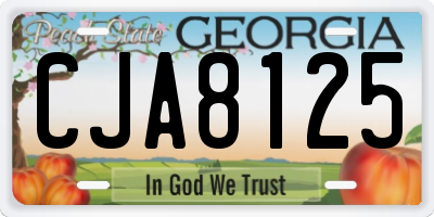 GA license plate CJA8125