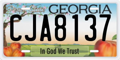 GA license plate CJA8137