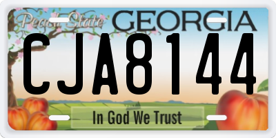 GA license plate CJA8144