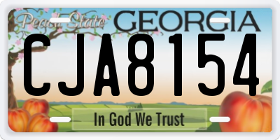 GA license plate CJA8154