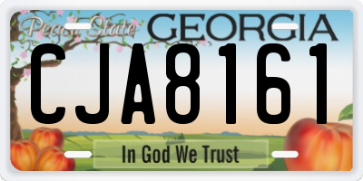 GA license plate CJA8161