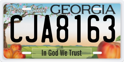GA license plate CJA8163