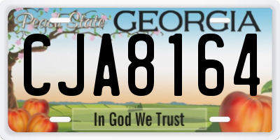 GA license plate CJA8164