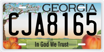 GA license plate CJA8165