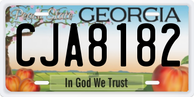GA license plate CJA8182