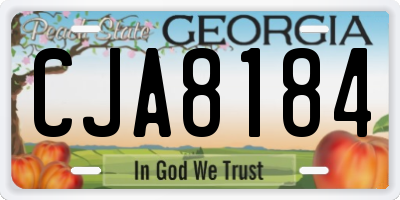 GA license plate CJA8184