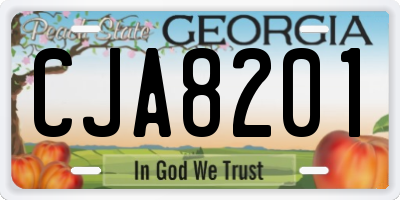 GA license plate CJA8201