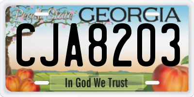 GA license plate CJA8203
