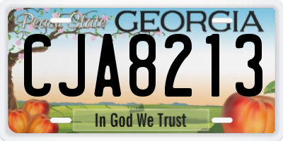 GA license plate CJA8213
