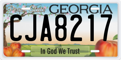 GA license plate CJA8217