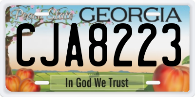 GA license plate CJA8223