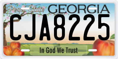 GA license plate CJA8225