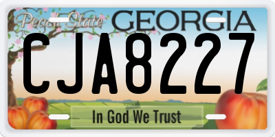 GA license plate CJA8227