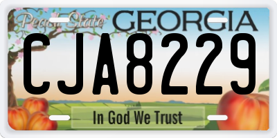 GA license plate CJA8229