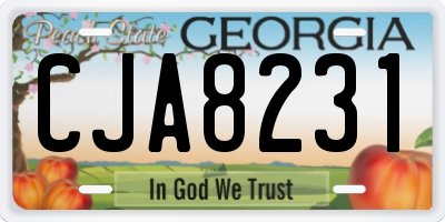 GA license plate CJA8231