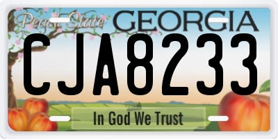 GA license plate CJA8233
