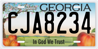 GA license plate CJA8234