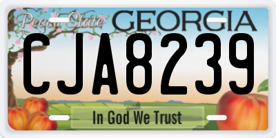 GA license plate CJA8239