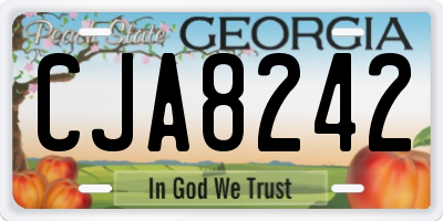 GA license plate CJA8242