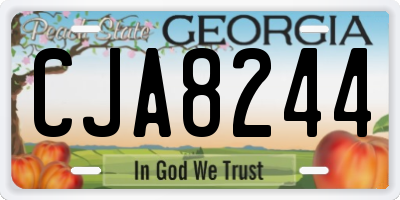 GA license plate CJA8244