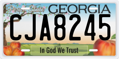 GA license plate CJA8245
