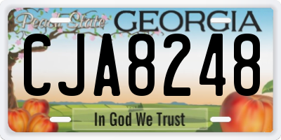 GA license plate CJA8248