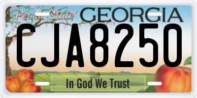 GA license plate CJA8250