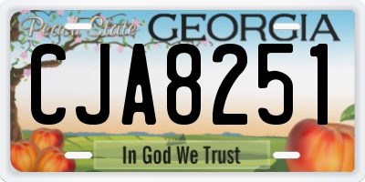 GA license plate CJA8251