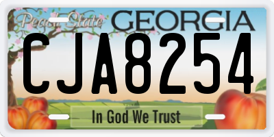 GA license plate CJA8254