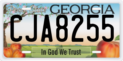 GA license plate CJA8255