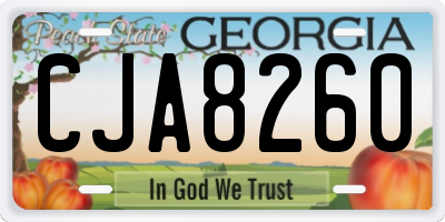 GA license plate CJA8260