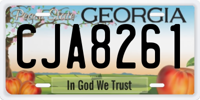 GA license plate CJA8261