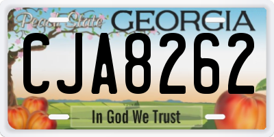 GA license plate CJA8262