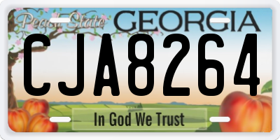 GA license plate CJA8264