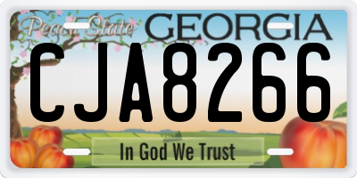 GA license plate CJA8266