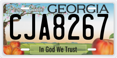 GA license plate CJA8267