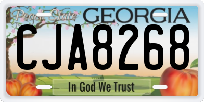 GA license plate CJA8268