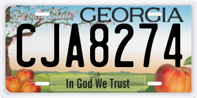 GA license plate CJA8274