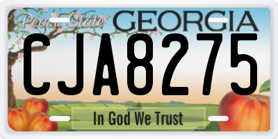 GA license plate CJA8275