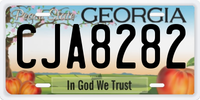 GA license plate CJA8282