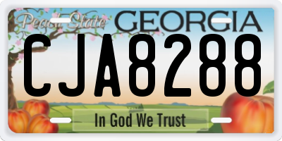 GA license plate CJA8288