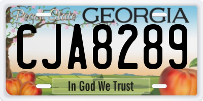 GA license plate CJA8289