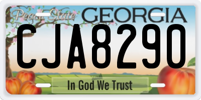 GA license plate CJA8290