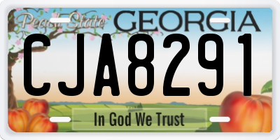 GA license plate CJA8291