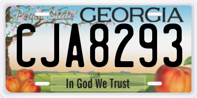 GA license plate CJA8293