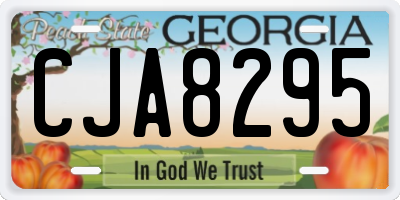 GA license plate CJA8295